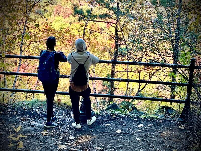 Montreal's Mount Royal Tour - Is It Worth $35 for a 2-Hour Mount Royal Tour?