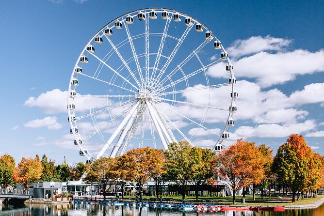 Montréal Scavenger Hunt and City Highlights Walking Tour - Practical tips to make your hunt smoother