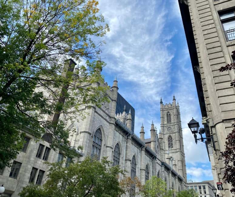 Montréal: The Original Old Montréal Walking Tour - Small groups and guides with personality: why reviews keep landing the same way