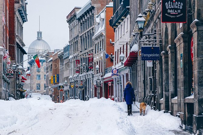 Winter Express: Old Montreal Highlights Walking Tour - What You’ll Actually See and Understand in 90 Minutes